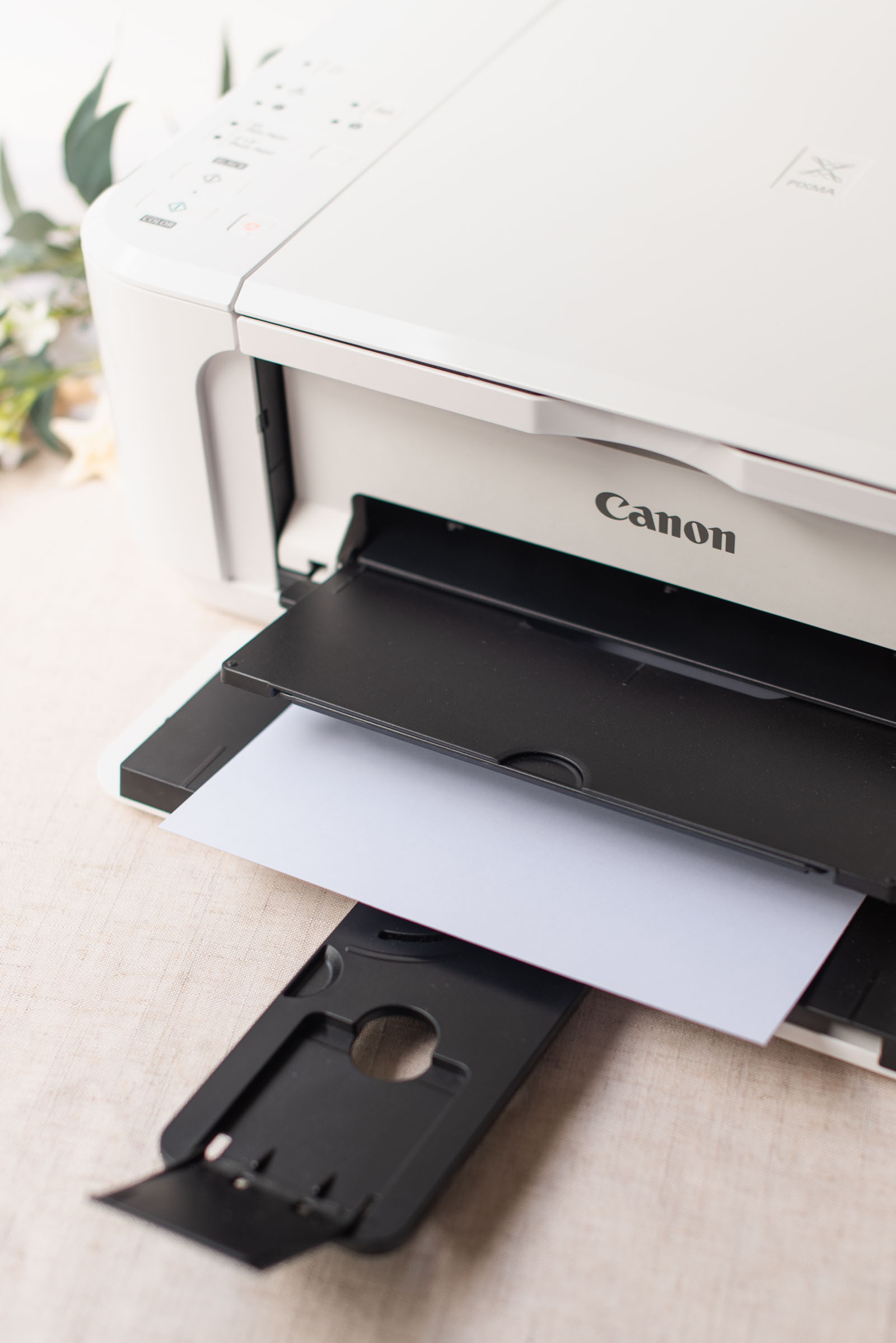 Home inkjet printer for DIY double sided wedding program fan