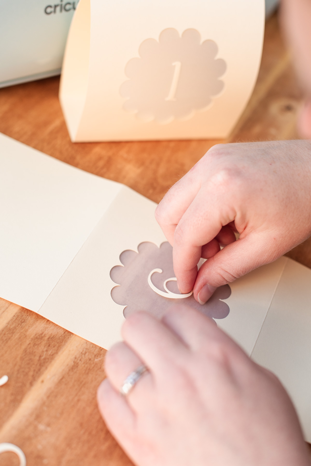 Butter yellow and lilac Cricut wedding ideas