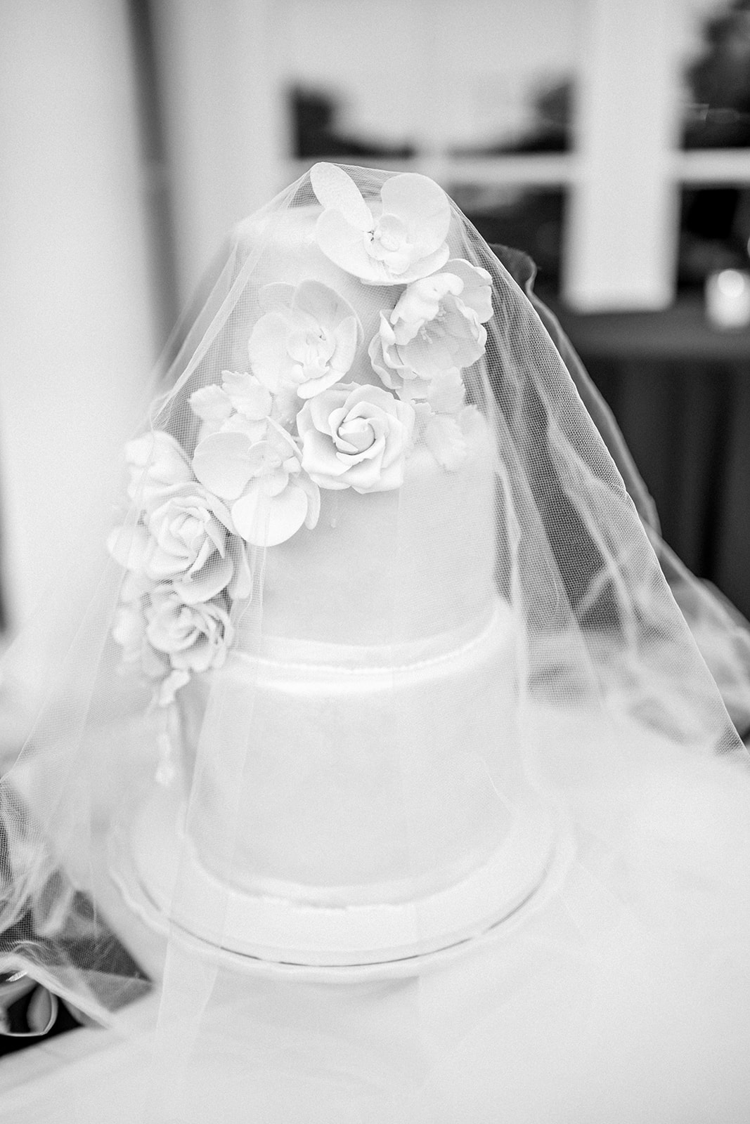 Tulle wedding cake veil for editorial wedding style and practical way to keep bugs off of wedding cake